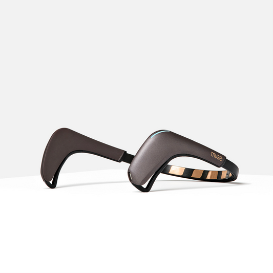 Muse 2 official product image 1 of 4