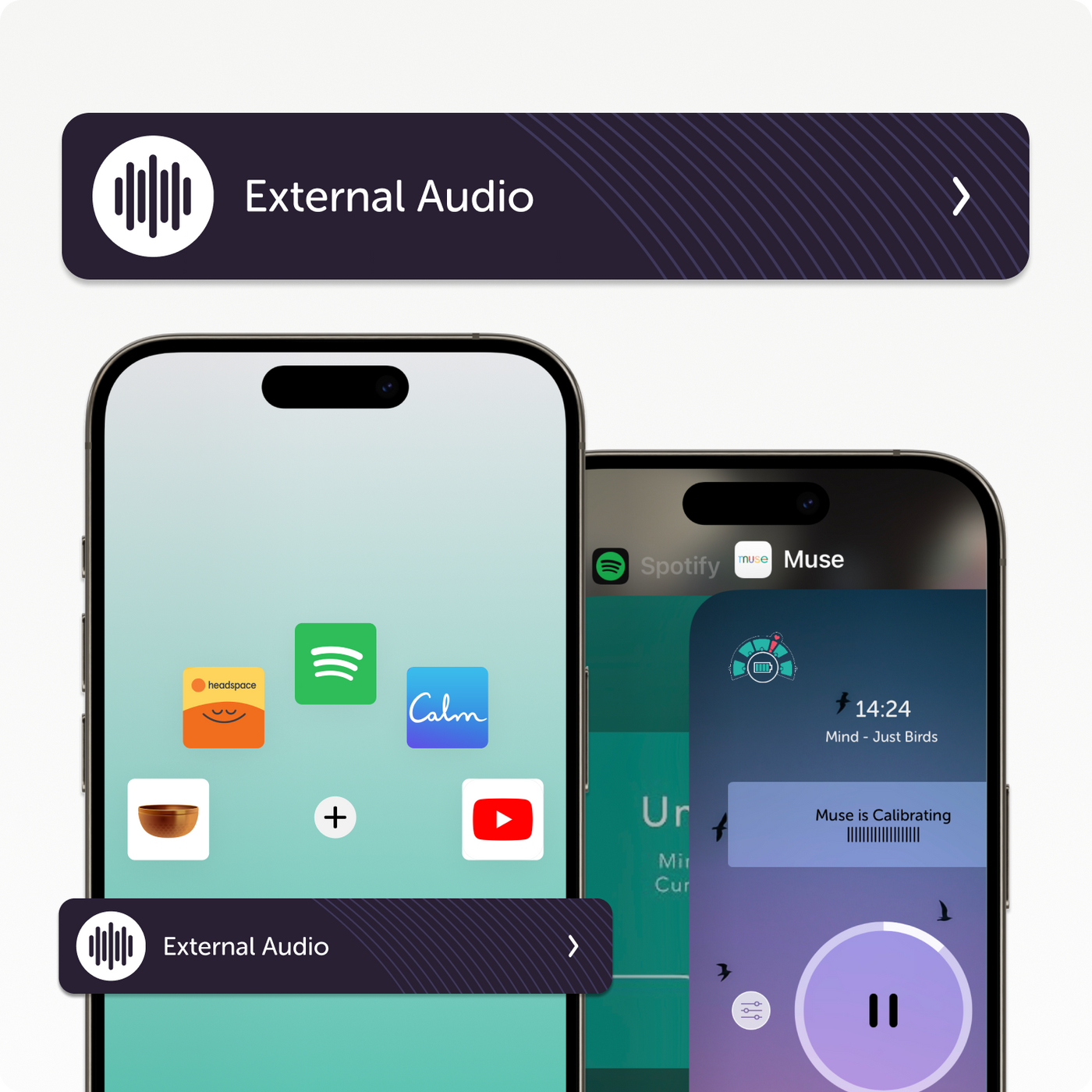 Muse 2 Premium Subscription Bundle official product image 6 of 8